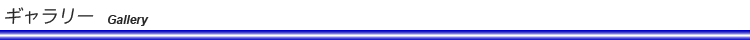 ギャラリー